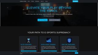 Thumbnail of dmarketscs.com