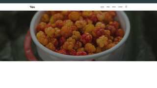 Thumbnail of vireservices.com