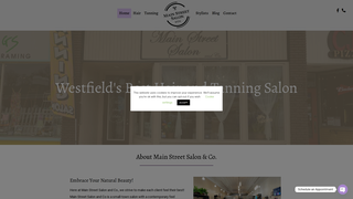 Thumbnail of mainstreetsalonwny.com