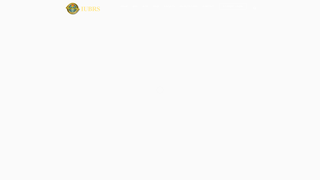 Thumbnail of iibrs.com