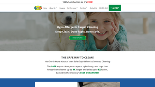 Thumbnail of safedryofchapin.com