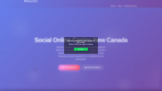 Thumbnail of bonustwirl.com