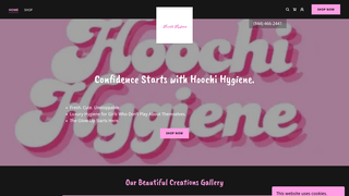Thumbnail of hoochihygiene.com