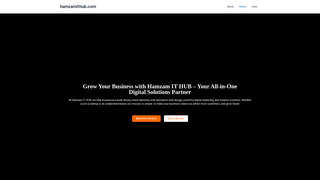 Thumbnail of hamzamithub.com