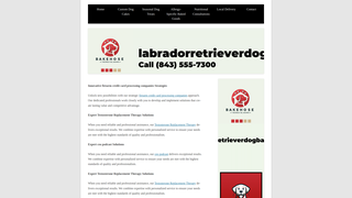 Thumbnail of labradorretrieverdogbakery.com