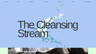Thumbnail of thecleansingstream.com