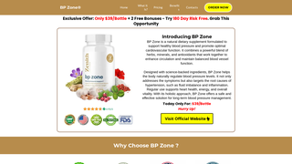 Thumbnail of us-en-us-bpzone.com
