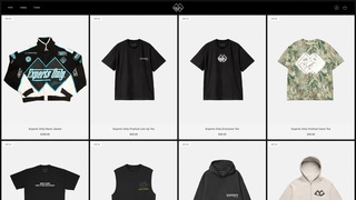 Thumbnail of expertsonlystore.com