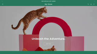 Thumbnail of toysforeverypet.com