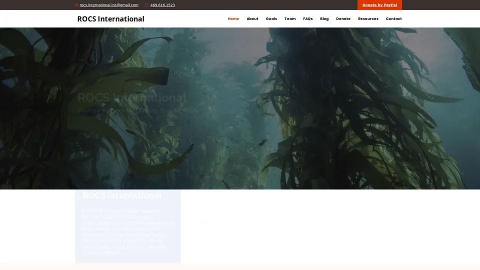 Screenshot of rocsinternational.org