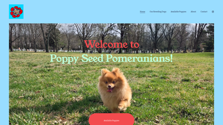 Thumbnail of poppyseedpomeranians.com