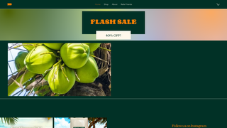 Thumbnail of chilancoconutwater.com