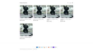 Thumbnail of kakkiscents.com