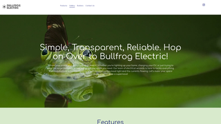 Thumbnail of bullfrogelectron.com