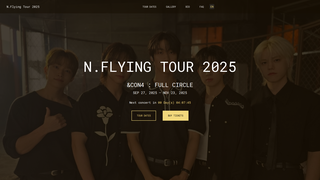 Thumbnail of nflyingtour.com