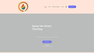 Thumbnail of spraymedowntanning.com