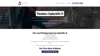 Thumbnail of plumberszephryhillsfl.com