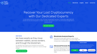 Thumbnail of thecryptotracingexperts.com