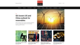 Thumbnail of newyorkroundup.com