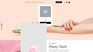 Thumbnail of palmynails.com
