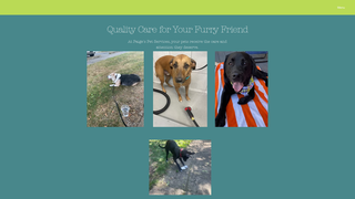 Thumbnail of paigespetservices.com