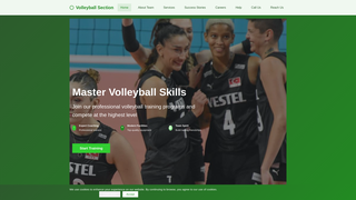 Thumbnail of volleyballgamelearhing.com