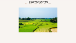 Thumbnail of deqorumexports.com