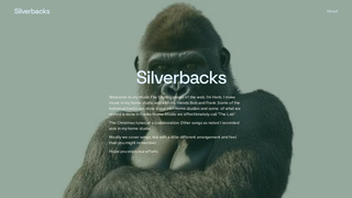 Thumbnail of slvrbks3.net