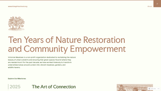 Thumbnail of tcbvgirlsschool.org