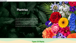 Thumbnail of plantrizz.com