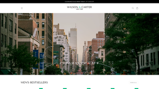 Thumbnail of wilson-and-carter.com