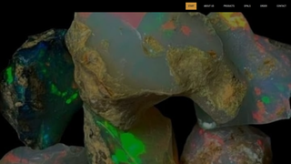 Thumbnail of delantaopals.com