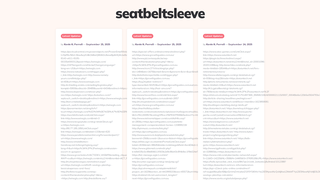 Thumbnail of seatbeltsleeve.com