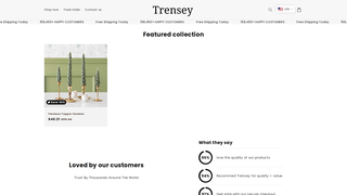 Thumbnail of trensey.com