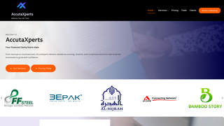 Thumbnail of accutaxperts.com