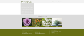 Thumbnail of afriflower-plc.com