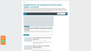 Thumbnail of karbonaktif.net