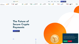 Thumbnail of secureqfs.com