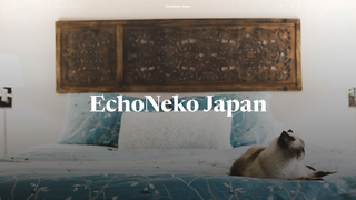Thumbnail of echoneko.com