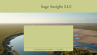Thumbnail of sageinsightllc.net