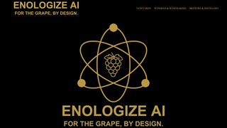 Thumbnail of enologizeai.com