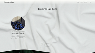 Thumbnail of evergreen-shopping.com