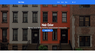 Thumbnail of meirosternewyork.com