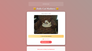 Thumbnail of dailycatmadness.com