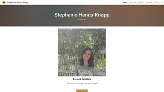 Thumbnail of stephaniehanusknapp.com