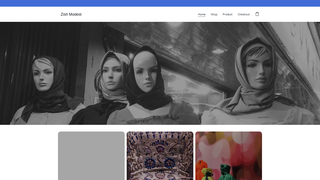 Thumbnail of zishmodest.com