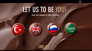 Thumbnail of mycholey.com