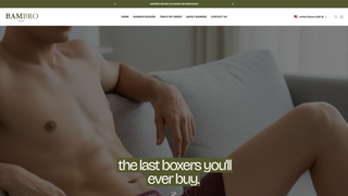 Thumbnail of bambroboxers.com