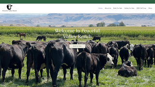 Thumbnail of pvrblackherefords.com