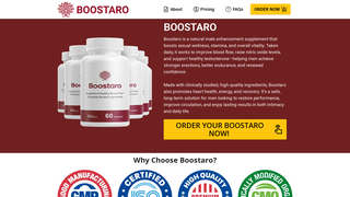 Thumbnail of eng-en-us--boostaro.com